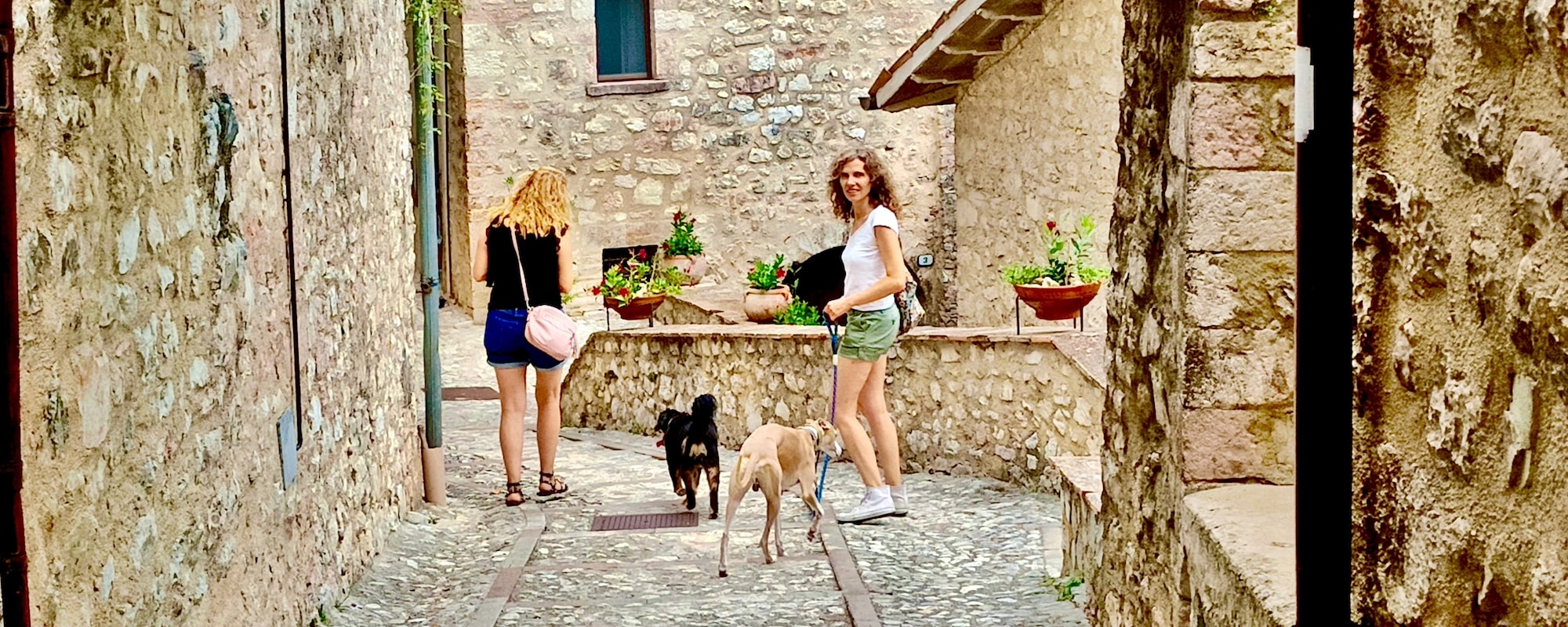 Estate Magica in Umbria con il Tuo Cane - Esperienza Kanito